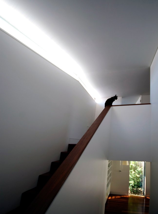 Project Gallery